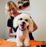 copy-150x151-5.9kb-jpg copy-150x151-5.9kb-jpg